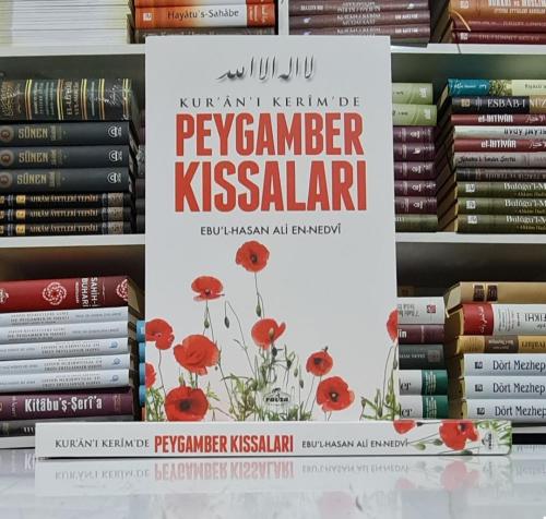 Peygamber kıssaları en nedvi